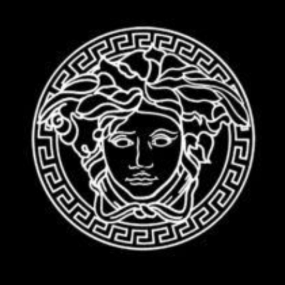 Versace Brown Womens Sunglasses main image 7